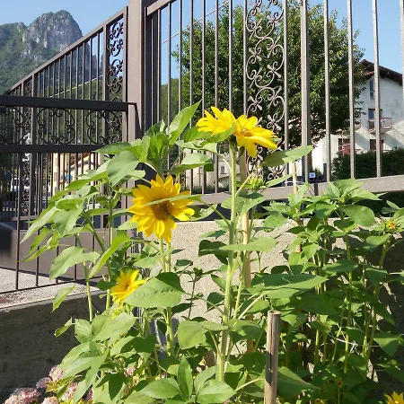 Bed & Breakfast Hostelin De La Comare Ballabio